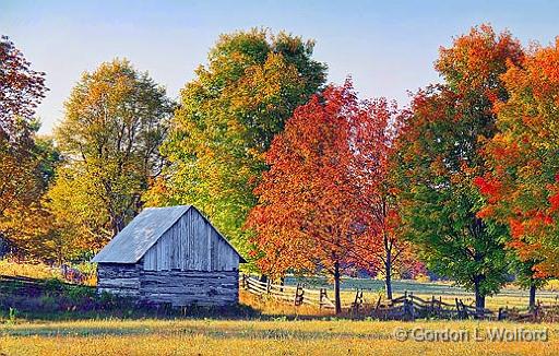 Autumn Color_16747-9.jpg - Photographed near Smiths Falls, Ontario, Canada.